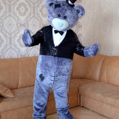 Аниматор Мишка ТэддиГомель, Речица, Добруш, Ветка.